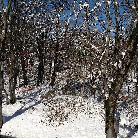 Myoko Kogen Pension Yamasan Exterior foto